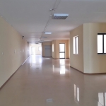Massive Duplex Office Space Malta