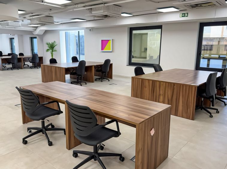 Professional Offices in Sliema To Let