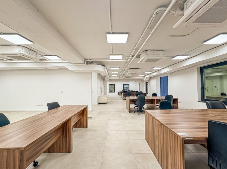 Professional Offices in Sliema To Let