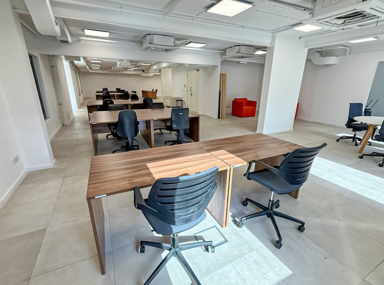 Professional Offices in Sliema To Let
