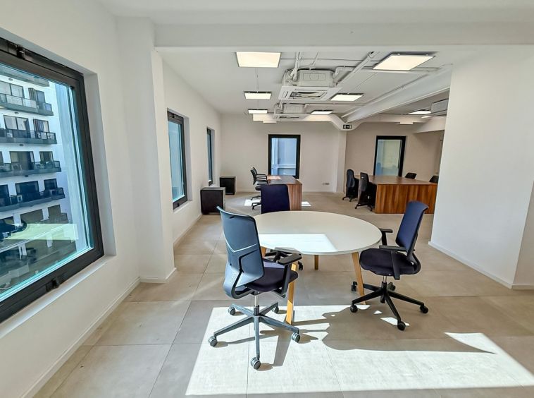 Professional Offices in Sliema To Let