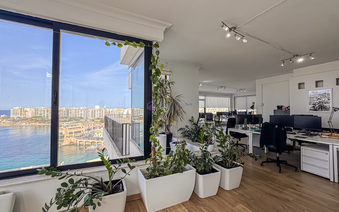 Seafront Ballutta Office Space