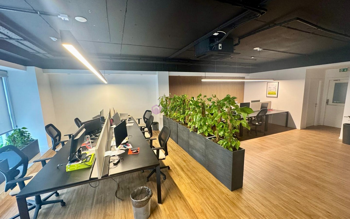 Modern Office Rental Mosta