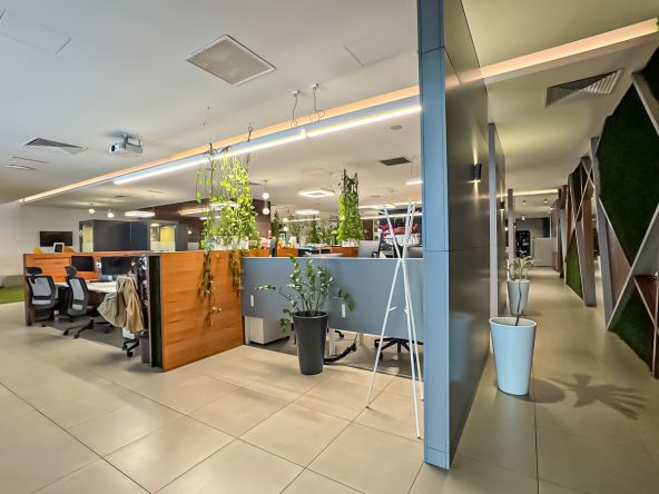 Employer Brand and Talent Strategy