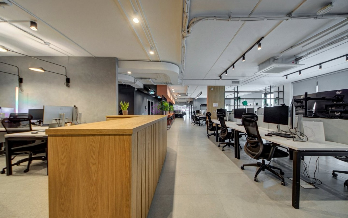 Designer Finished St Julians Office for 90 Desks