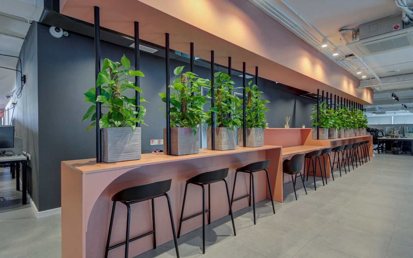 st julians designer office 90 desks05 Designer Finished St Julians Office for 90 Desks