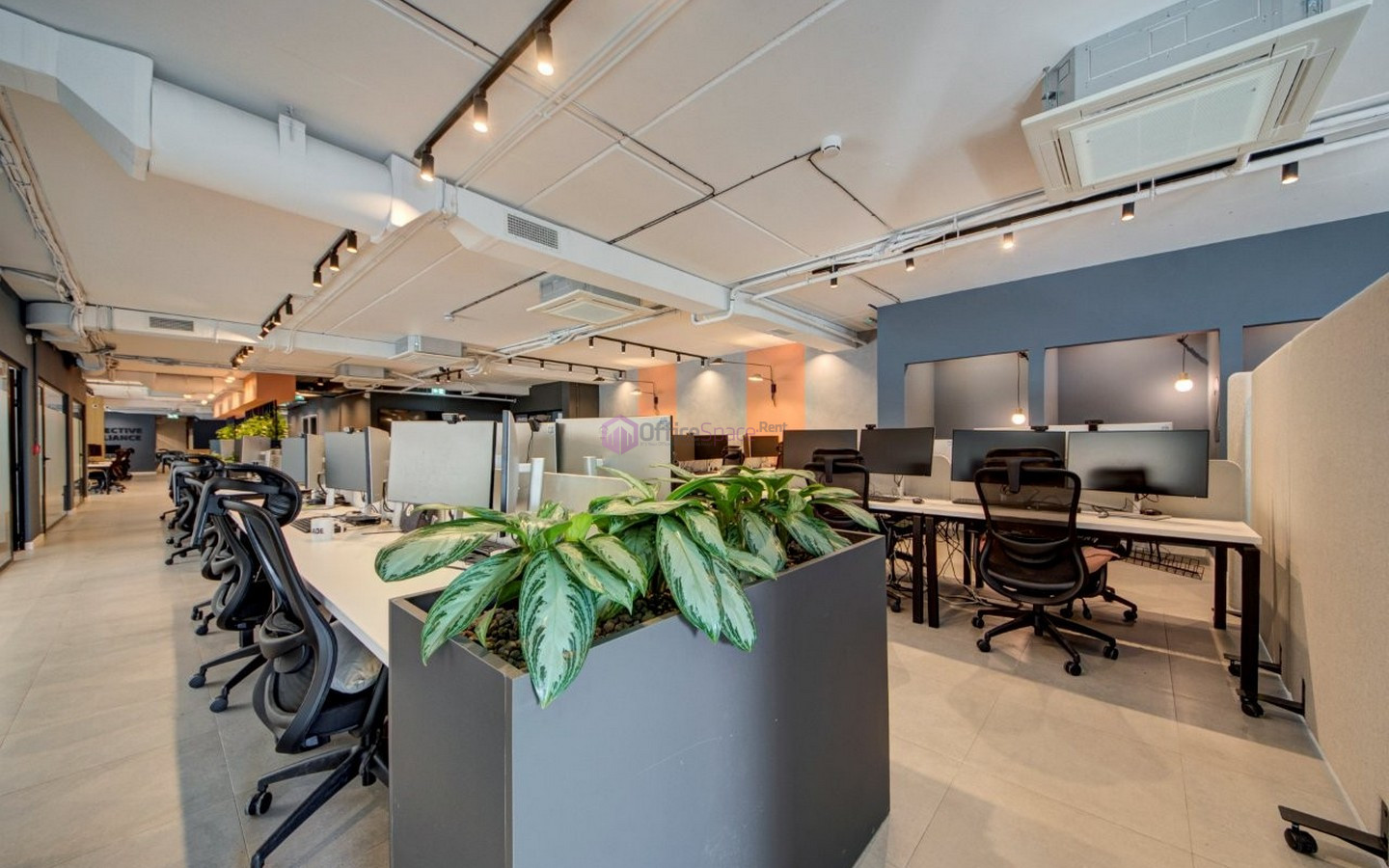 Designer Finished St Julians Office for 90 Desks